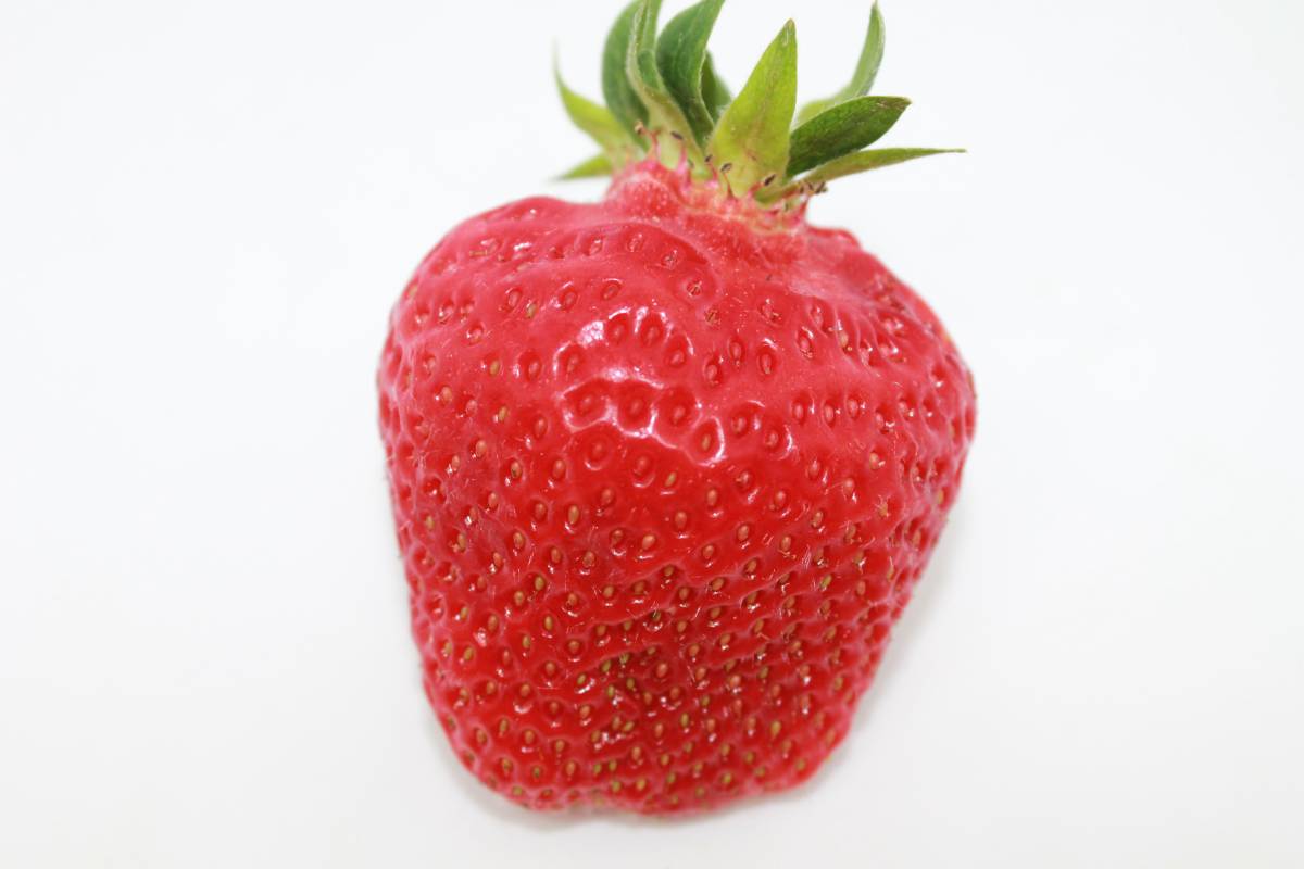 Erdbeere (2)