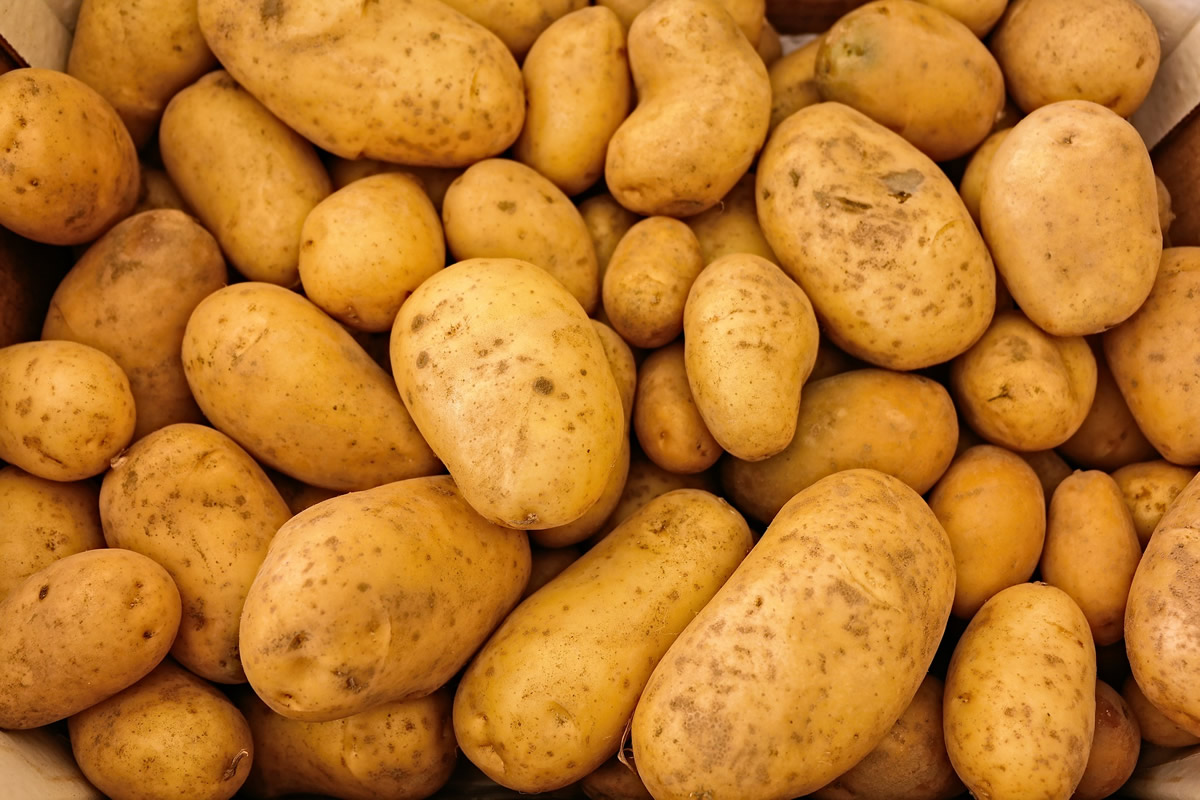 Kartoffeln-4