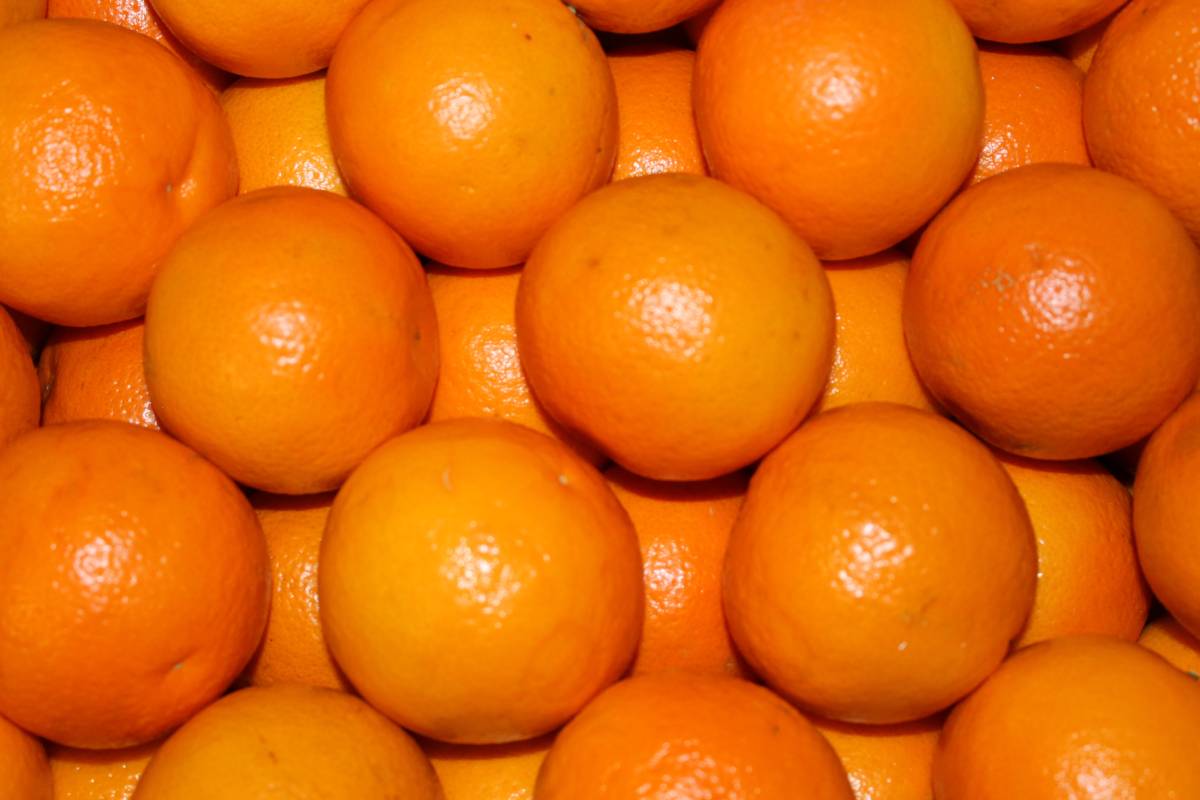 Orangen 8